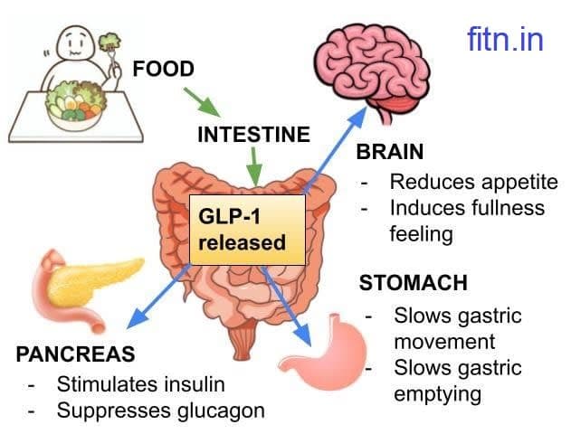 Gut Health Naturopathy Treatment